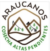 ARAUCANOS SPA